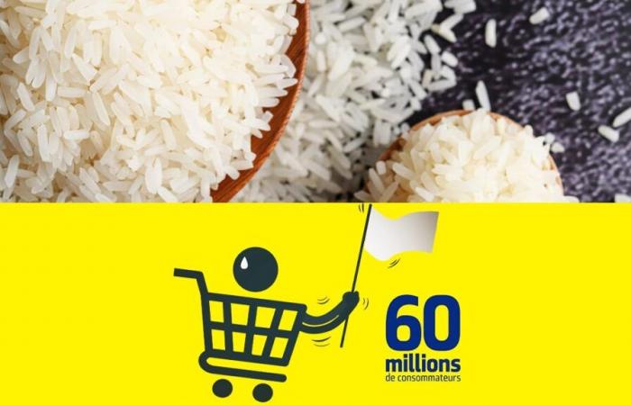 Un riz économique classé meilleur du marché par 60 millions de consommateurs