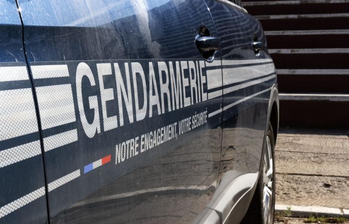 Un homme de 52 ans, disparu depuis deux semaines à Annecy, retrouvé sain et sauf