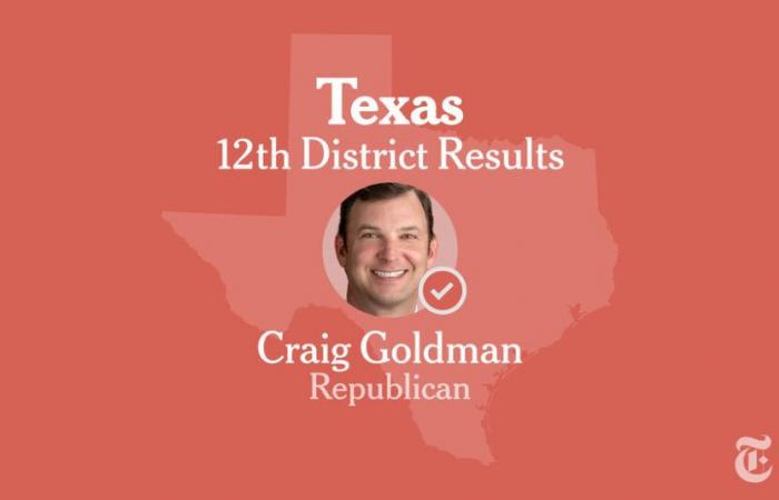 Résultats des élections du 12e district du Congrès du Texas 2024 : Hunt contre Goldman