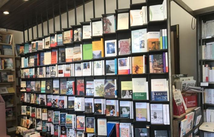 Mois des rencontres littéraires à la librairie Temps Modernes d’Orléans