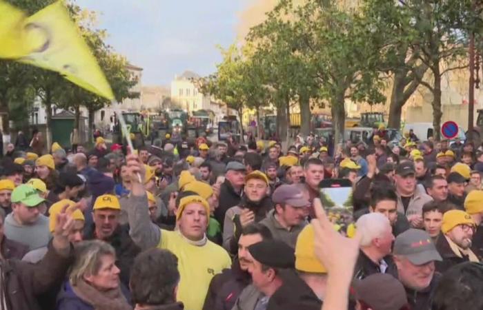 les agriculteurs promettent une révolte paysanne à partir de la mi-novembre