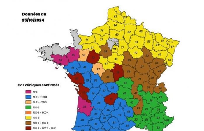 le nombre de cas augmente, la vaccination est toujours recommandée