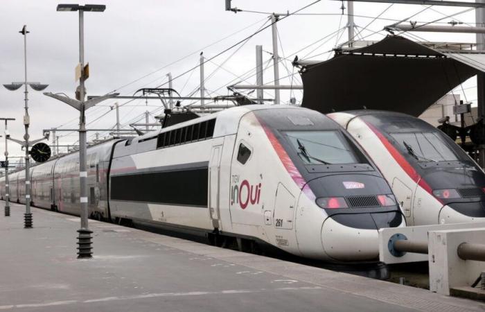 pourquoi les délais de trajet seront allongés sur la ligne Paris-Lyon-Marseille pendant 4 jours