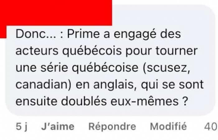 Cette série américaine basée sur une histoire québécoise a été tournée en anglais avec des acteurs québécois qui se sont eux-mêmes doublés pour la version française et tout le monde est bien impliqué.