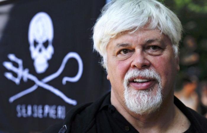 Cette ville déploie une immense bannière en soutien à Paul Watson