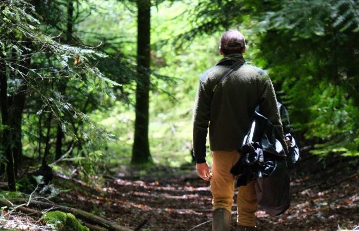 A l’affût avec le photographe animalier Bastien Prévost en Haute Corrèze