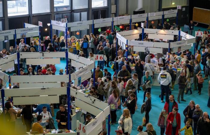 Le salon du livre de Brive les 8, 9 et 10 novembre 2024