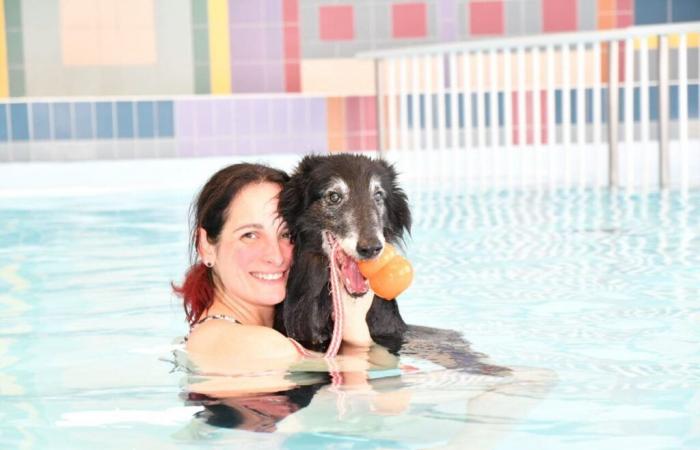 Dans l’Eure, une baignade de Noël avec votre chien