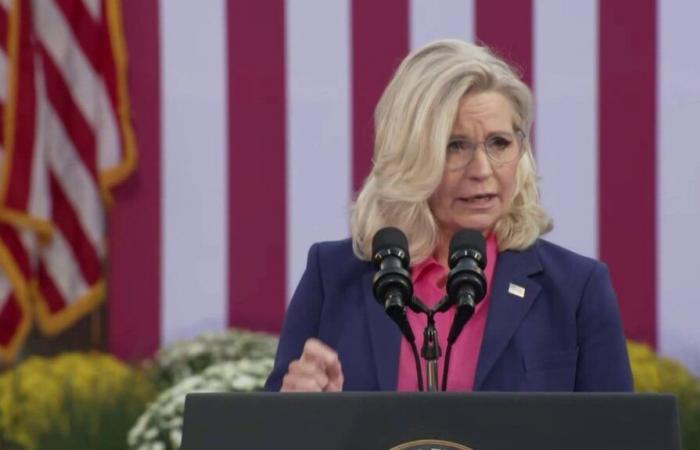 Arnold Schwarzenegger, Liz Cheney… Ces républicains qui voteront pour Kamala Harris