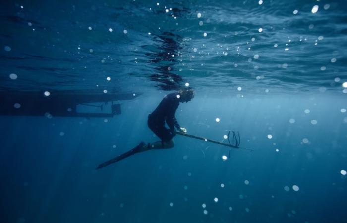 une sortie de chasse sous-marine tourne au drame pour un homme de 48 ans