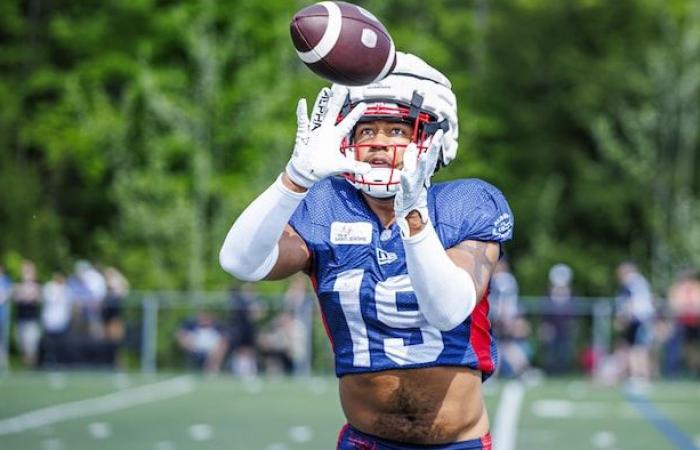 Les Alouettes conquièrent l’Est