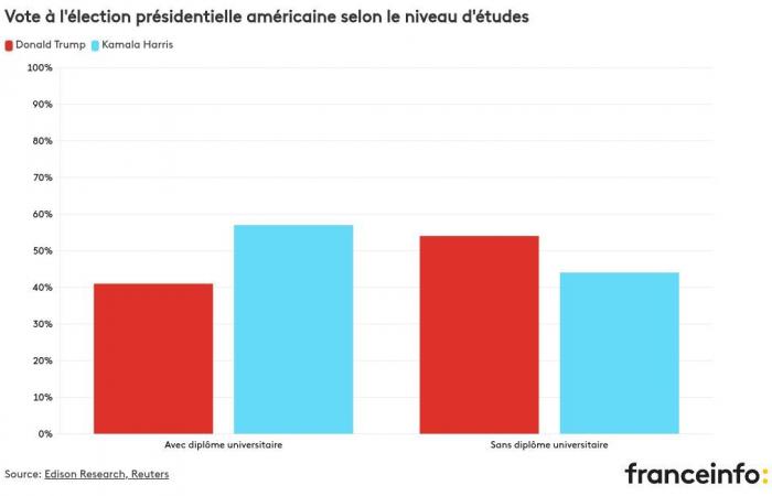 Pour qui les femmes, les jeunes ou les minorités ethniques ont-ils voté ?