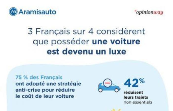 La voiture électrique est un luxe qui ne plaît pas aux Français