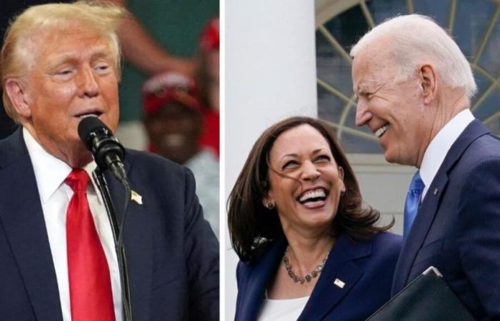 Joe Biden était-il un meilleur candidat que Kamala Harris ? Experts du choc des données électorales