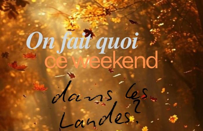 Idées de sorties – LANDES – Week-end du 15 novembre