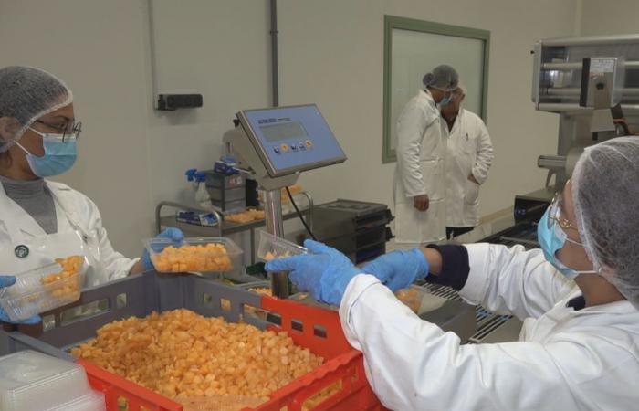 Un atelier de découpe de fruits et légumes inauguré en Guyane