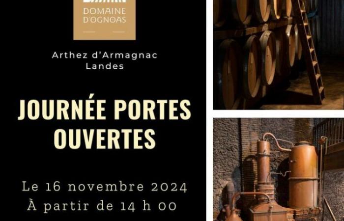 Idées de sorties – LANDES – Week-end du 15 novembre