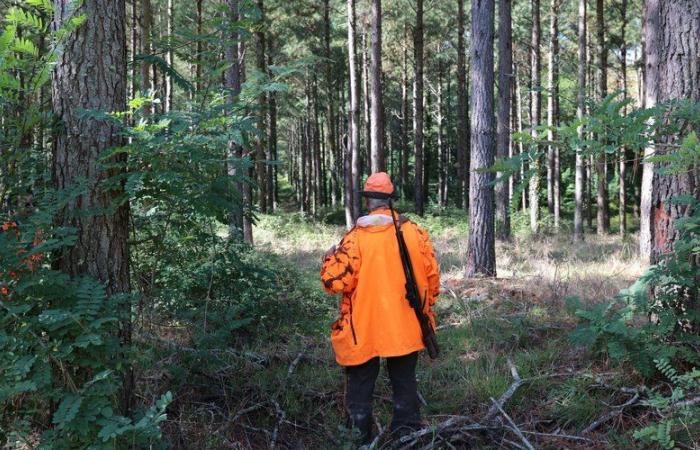 le cueilleur de champignons, dont la jambe a été amputée après un tir de chasseur, témoigne