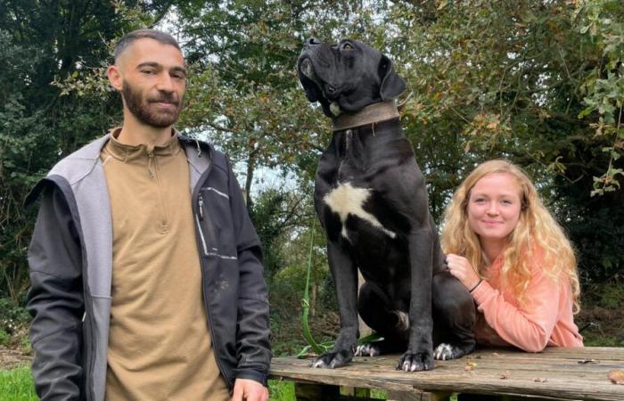 ils ont tout abandonné pour leur passion pour les chiens