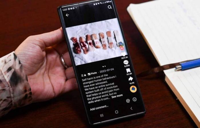 Un défi TikTok pousse des dizaines d’adolescents à se mutiler
