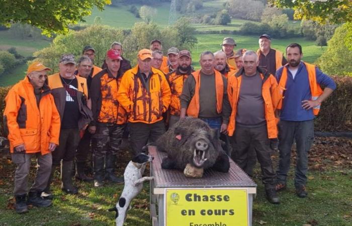 Clap de fin pour Phiphi, le sanglier star de l’Aveyron