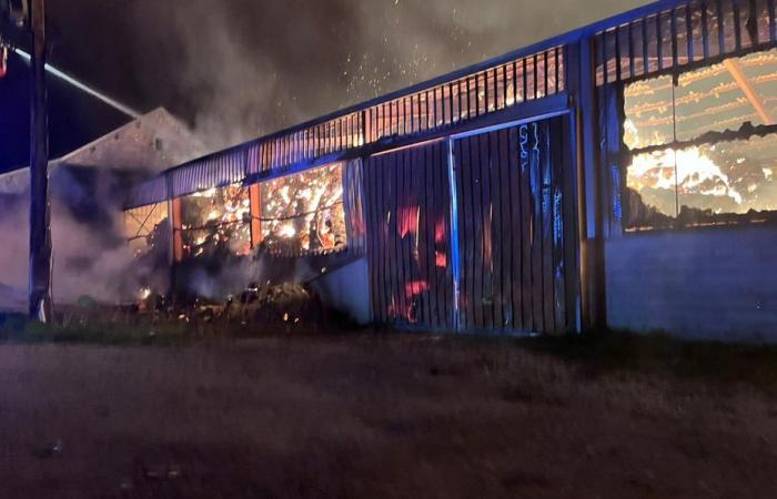 Incendie dans une ferme de 1 000 m² en Côte-d’Or, intervention toujours en cours