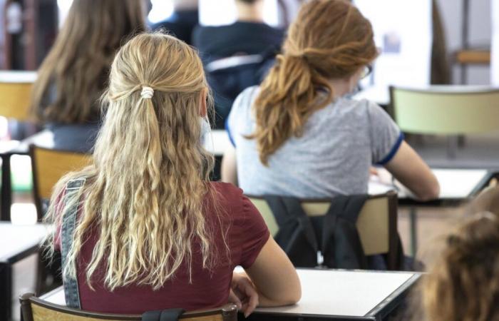 Le professeur d’un lycée de Sarreguemines, retrouvé mort en forêt