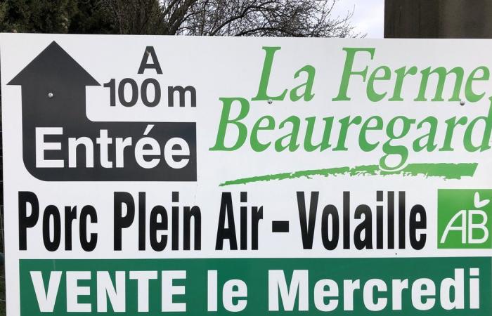 MARGUERITTES Un marché, une ambiance, une ferme !