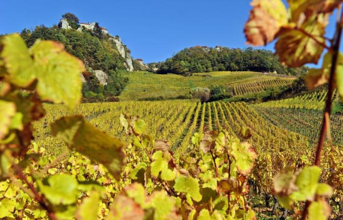 EN IMAGES. Dans ce décor jurassien, le paysage enfin effacé des poteaux et des lignes électriques