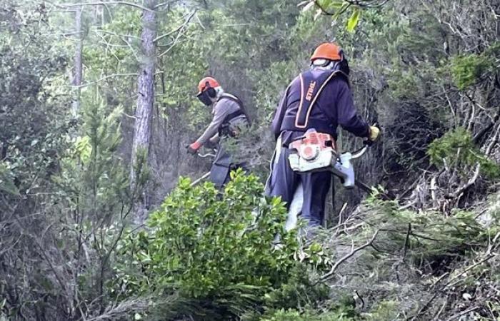 Quelles sont les obligations de défrichement pour la prévention des incendies de forêt ?