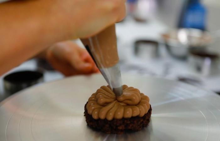 les coulisses des deux premières pâtisseries rochelaises de Nina Métayer