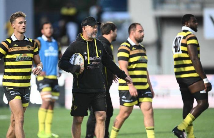 « Le Stade Monois est une bête malade qu’il faut soigner rapidement »