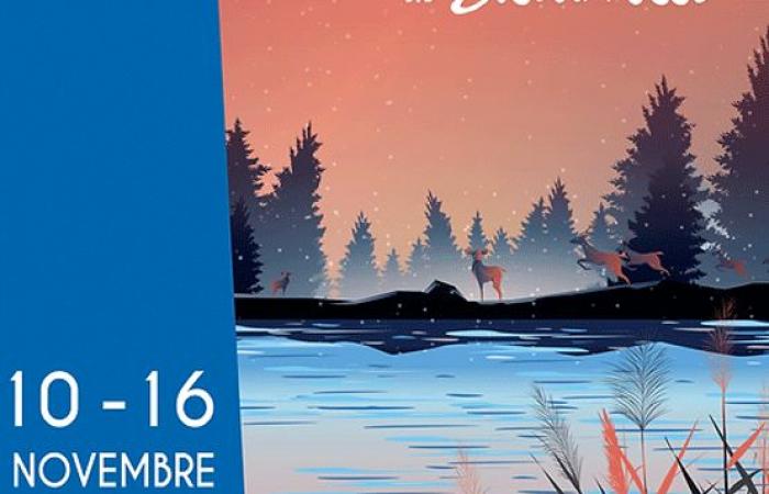 Festival du cinéma québécois à Biscarrosse