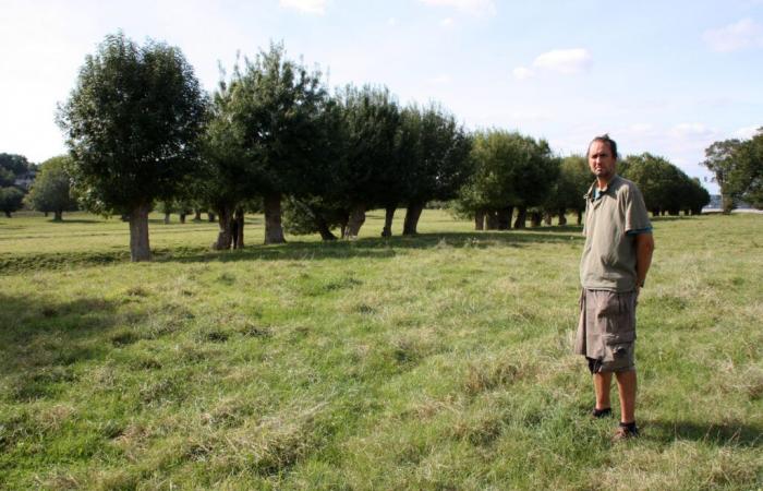 Maine-et-Loire. Le Parc dévoile le lauréat du concours « Pratiques agroécologiques des prairies et parcours »