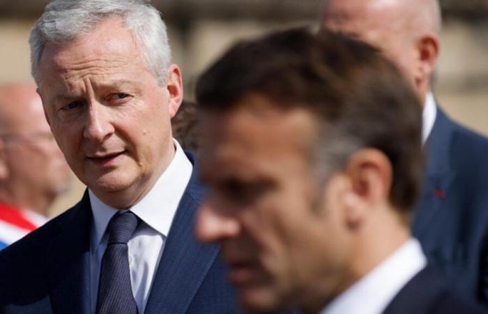 Bruno Le Maire et Emmanuel Macron, deux suspects dans le viseur de l’enquête du Sénat