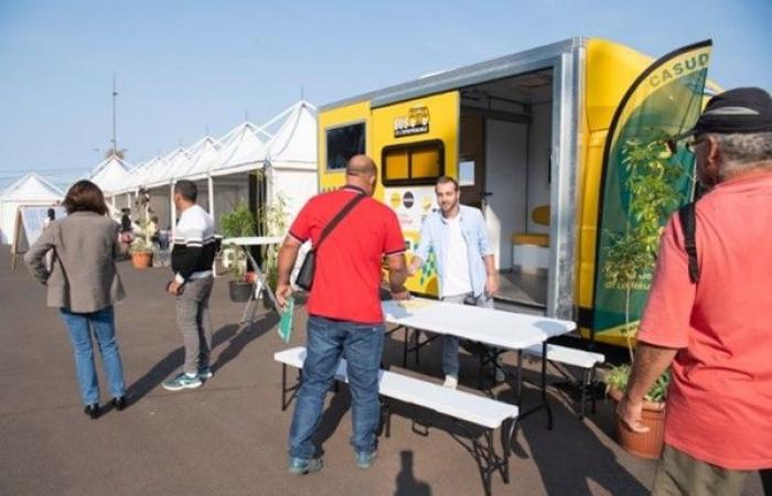 Bpifrance et la région Réunion ont organisé les premières « Rencontres Co Crea » sur l’entrepreneuriat dans les quartiers. A cette occasion, Bpifrance et Initiative Réunion ont inauguré le premier « Bus de l’entrepreneuriat » outre-mer – Bpifrance 2024