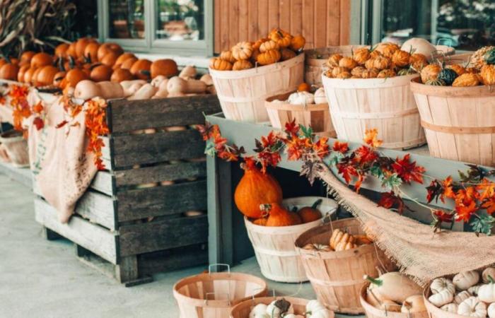 6 initiatives locales à découvrir pour une consommation responsable en Ardenne