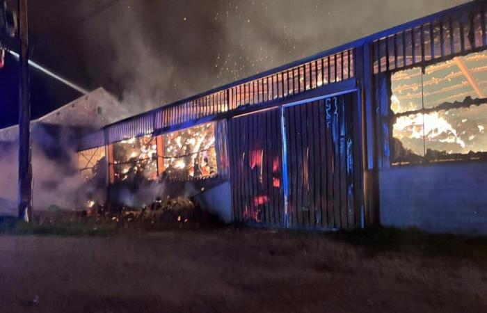 Côte d’Or. Un entrepôt agricole de 1000 m2 prend feu. 31 pompiers mobilisés