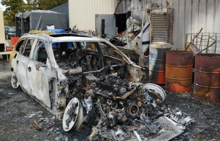 un transporteur de journaux a tiré la sonnette d’alarme