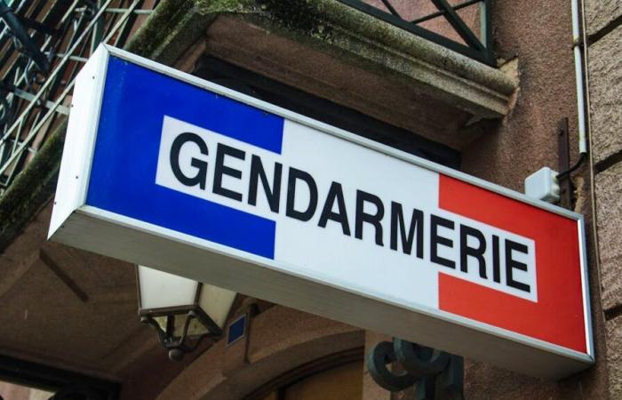 Porté disparu en France, il réapparaît en Suisse