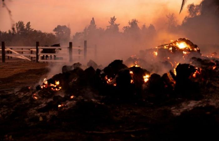 Plus d’une centaine de maisons détruites par un vaste incendie près de Los Angeles – 11/08/2024 à 04:53