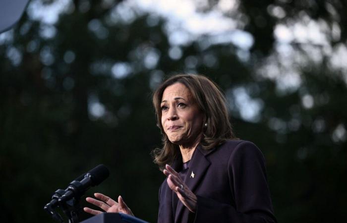 La défaite de Kamala Harris ou l’échec de la stratégie démocrate