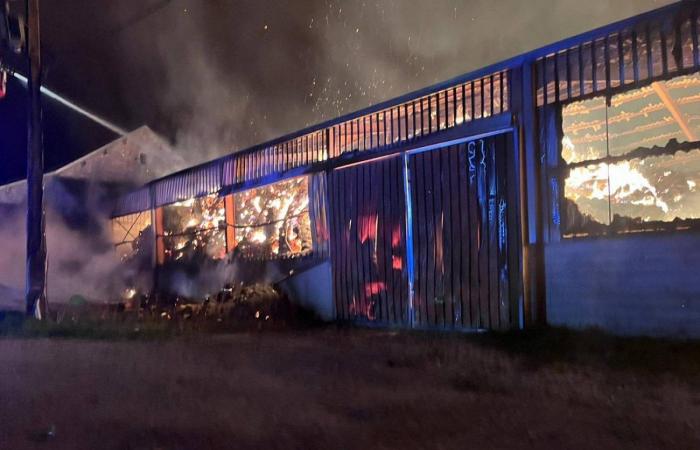 Incendie dans une ferme produisant de l’huile de colza