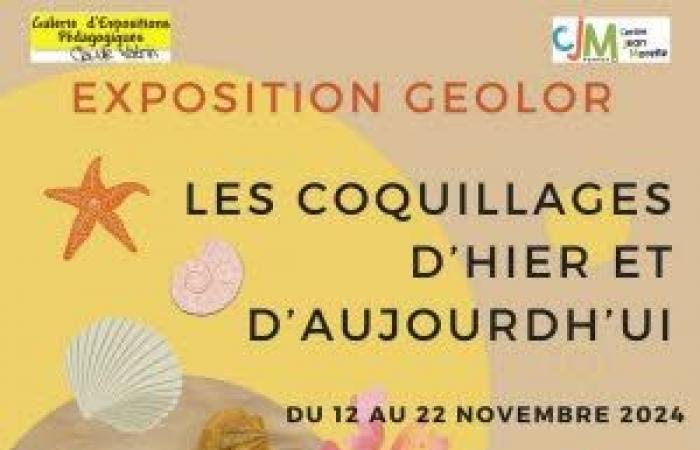 « Coquillages d’hier et d’aujourd’hui » : Exposition à Fameck