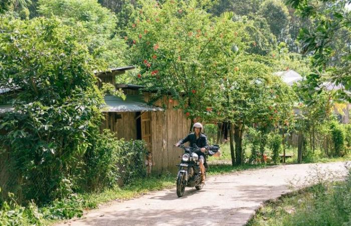 Un lieu de « guérison » à Quang Nam attire les touristes pour camper, échapper à la poussière et chasser les nuages ​​– Vietnam.vn