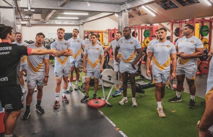 Reprise en salle pour les Dragons Catalans ce jeudi 7 novembre 2024