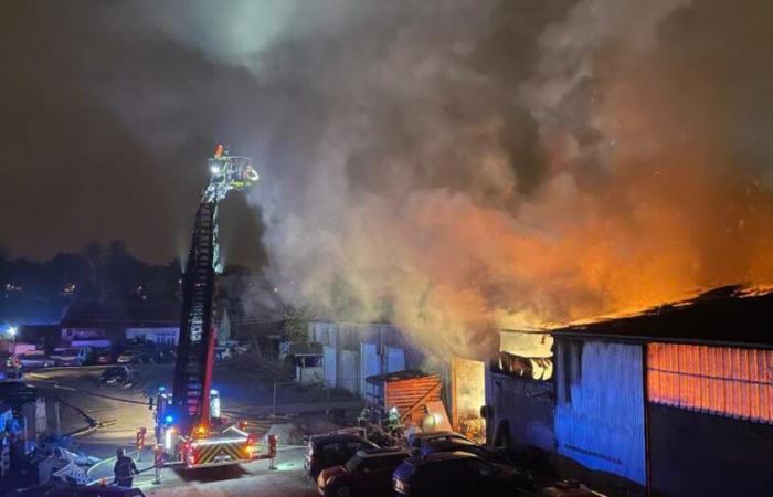 Colmar. Un violent incendie ravage un entrepôt de 2000 m2