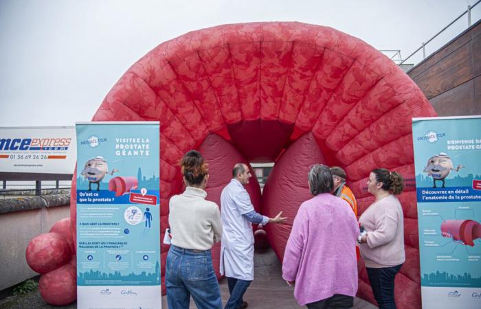 une prostate gonflable géante installée à l’hôpital pour interpeller les passants