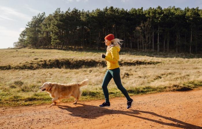 Objectif immunité : des produits vitaminés pour rester en forme avant l’hiver