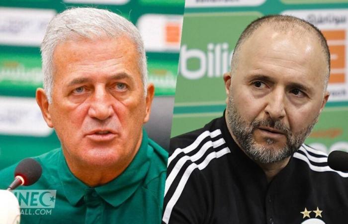 Le fervent défenseur Belmadi s’en prend à Petkovic